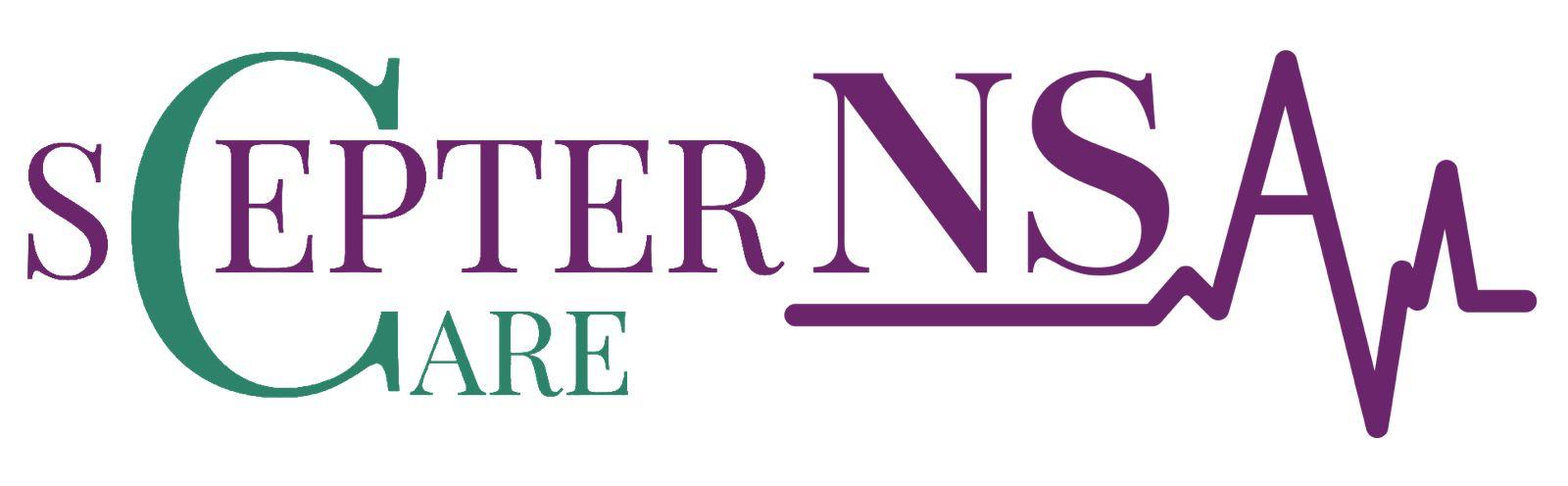 NSA LLC Logo